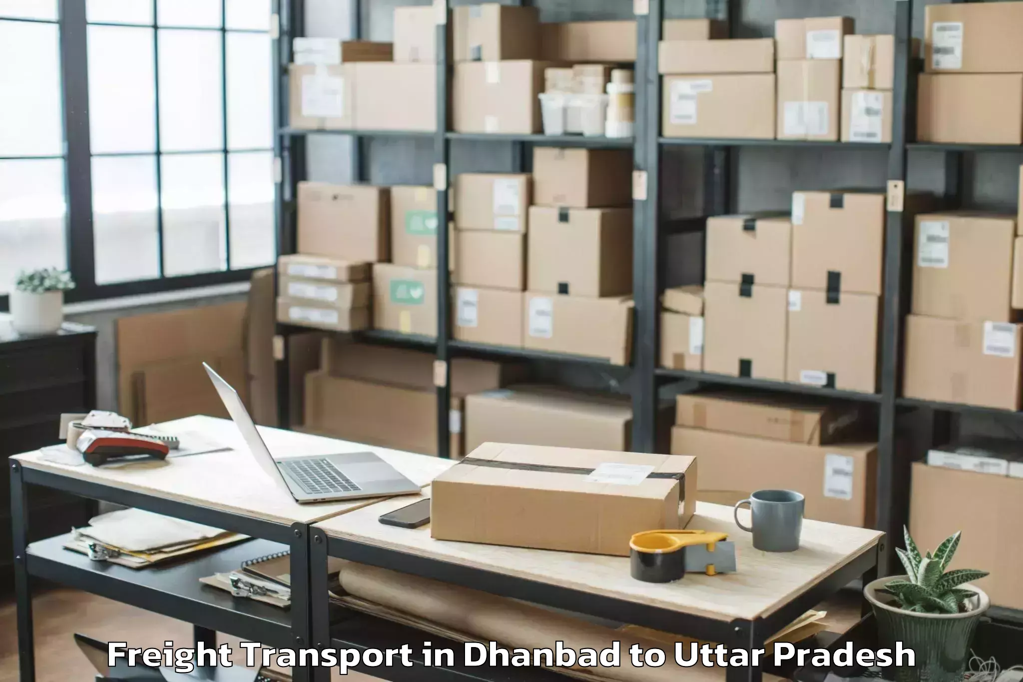 Top Dhanbad to Hathras Freight Transport Available